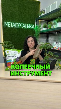 Копеечный инструмент, который заставит рассаду расти