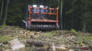 Мульчер AHWI Raptor 300 Prinoth Vegetation Management
