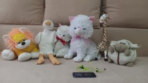 Конфликт и наушники