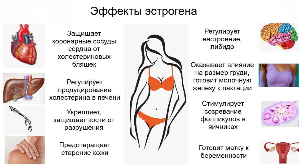 Недостаток эстрогена у женщины, симптомы и лечение