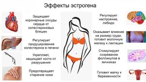 Недостаток эстрогена у женщины, симптомы и лечение