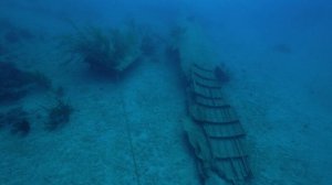 Корабельные рифы 4 серия «Жертвы рифов Роатана» (документальный сериал, 2016)