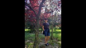 Маргарита Суханкина  " Мороженое"