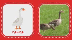 Учимся говорить: запуск речи у детей через звукоподражание! Логопедические упражнения