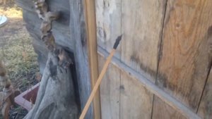 Пробивная способность моего блочного лука)))
