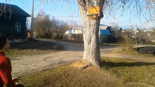 КРАСИВЫЕ ДАНКИ #1 смотреть онлайн