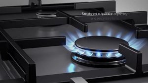 ASKO A+ gas burner
