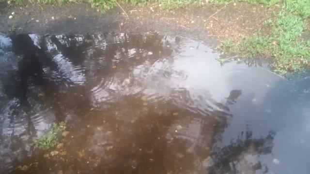 Так закінчується дощ... смотреть онлайн