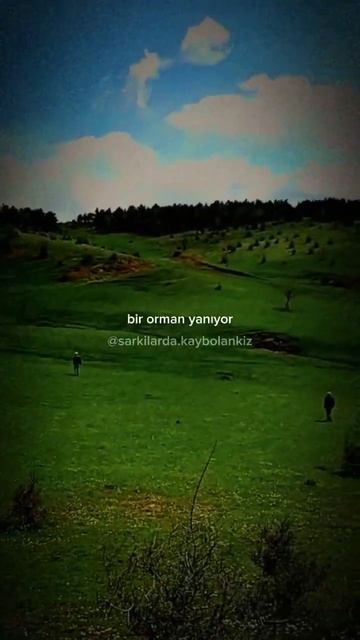 bıraktığın şarkılar sahipsiz susuyor... #keşfet #lyrics #fypシ смотреть онлайн