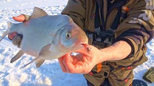 РЫБАК ПОКАЗАЛ НОВУЮ СНАСТЬ НА ЛЕЩА В ДЕЛЕ!!