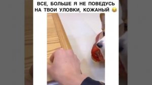 Уловки