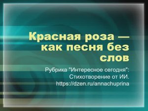 Красная роза — как песня без слов