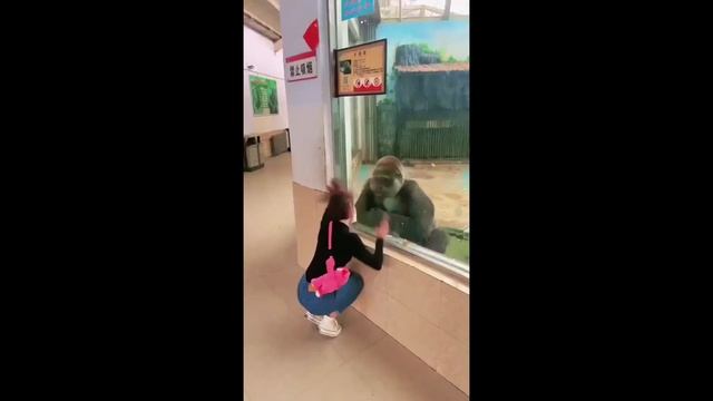 Без слов