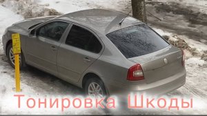 Киров: √Тонировка Шкоды/ Весенние выходные с нами/ Домашние заботы