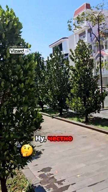 Контраст богатства и бедности во Вьетнаме: открываем новые грани жизни! смотреть онлайн