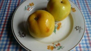 Моченые яблоки
