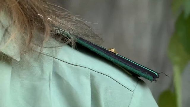 Новости Губернии от 22 июля смотреть онлайн