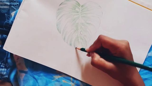 Monstera leaf illustration/ Watercolor Pencils/ #fabercastell #watercolorpainting #watercolorpencil смотреть онлайн