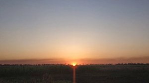 11 ноября 2023