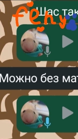 . смотреть онлайн