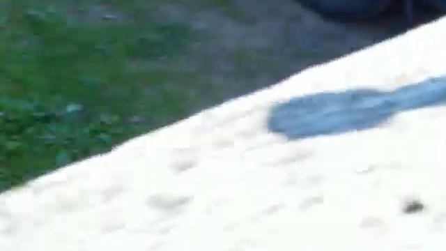 Grizzly 80 DSCF2190.AVI смотреть онлайн