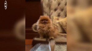 ЛИЗА ГАЛКИНА ОБИДЕЛАСЬ НА ОТЦА • НОВОСТИ ШОУ БИЗНЕСА