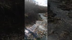 Парамушир, бухта Шелехова. Начались дожди и ручей по не многу размывает дорогу. 23.10.2021 г.