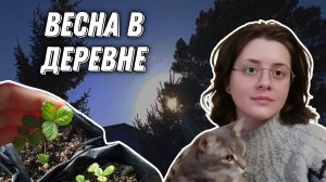 Весна в деревне: рассада, посев лечебных трав и планы на сезон 2025. Простая деревенская жизнь