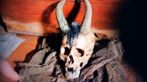 Dark Ghost Paranormal The Demonic Origin of the Humanoid Horned Skull