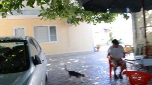 Урзуф лукоморье