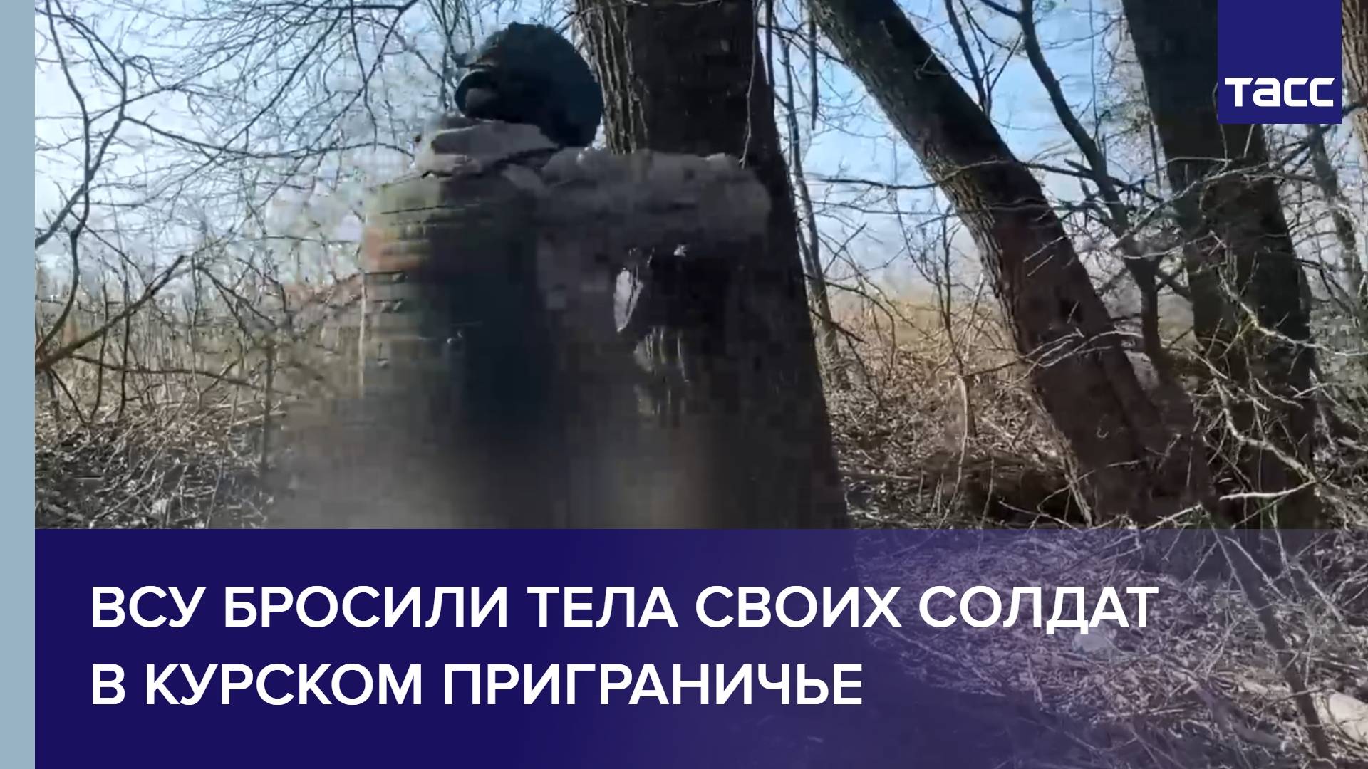 ВСУ бросили тела своих солдат в курском приграничье