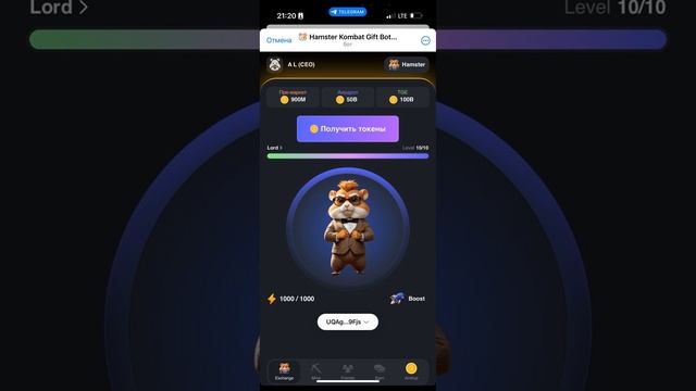 Hamster Kombat. Осторожно, вас хотят обмануть!
