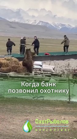 Когда мошенники, спам, банки звонят охотнику. ОхотРыболовКонсалтинг - сопровождение охотхозяйств РФ