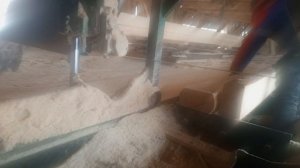 Бизнес-план пилорамы: с чего начать прибыльный бизнес? pilorama43