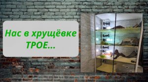 Террариум для бородатых агам - террариум для рептилий многоэтажный