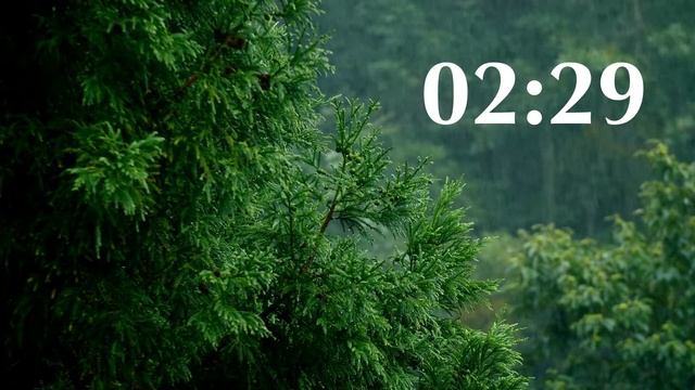 5 Minute Timer with Rain Sounds | Timers