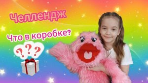 Челлендж - УГАДАЙ ЧТО В КОРОБКЕ?