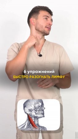 6 упражнений ЗА МИНУТУ, чтобы разогнать ЛИМФУ и стать БОДРЫМ! #упражнения #здоровье #энергия