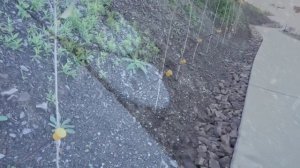 Озеро Торфяное.