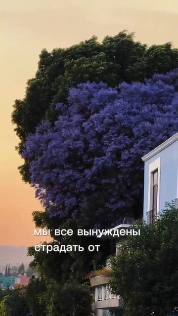 Скачивай БЕСПЛАТНО в моем ТЕЛЕГРАМ канале видео и стикеры для оформления твоих сторис!