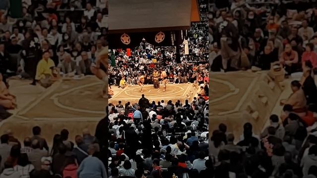 GRAND SUMO WRESTLER MATCH, LIVE FINAL TOURNAMENT MARCH 24,2024| EDION ARENA OSAKA смотреть онлайн