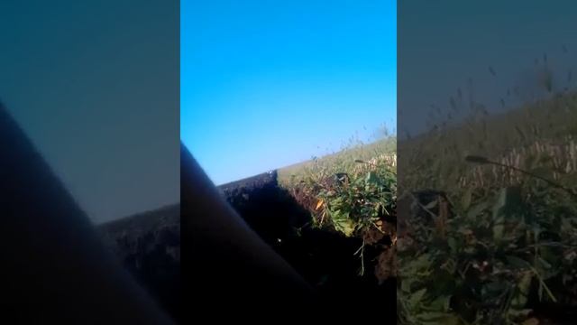 Оранка 2018 смотреть онлайн