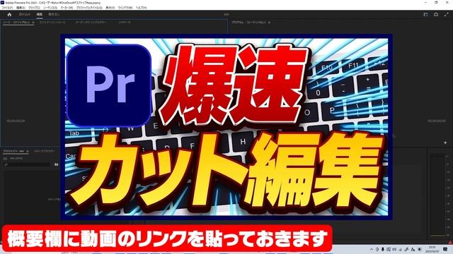 【入門】プレミアプロを入れたあとの初期設定 смотреть онлайн