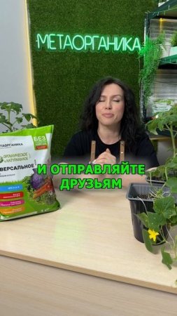Какие цветы сажаем в марте 2025 года