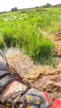 Старт в болото #atvmasters #offroad #atv #mud