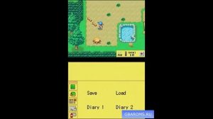 NDS - Harvest Moon DS