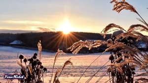 Инсаф Марданов  Күңелем яз тели