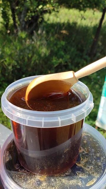 Мëд с гречихи смотреть онлайн