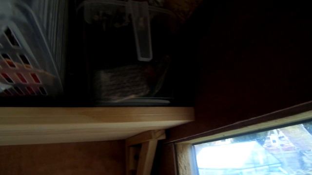 Bunny Shed Tour || January 2019 смотреть онлайн