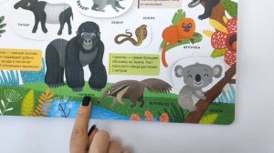 Мой первый словарь. Живая природа.